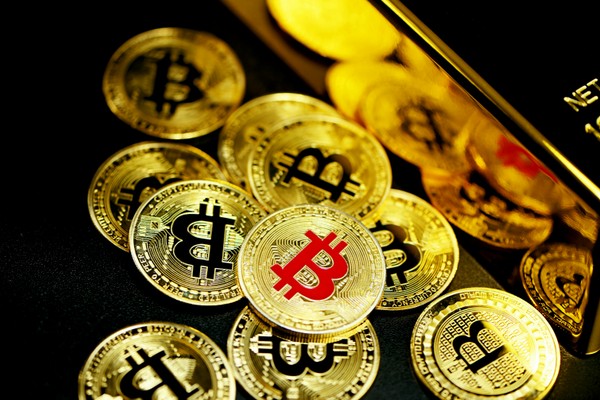 Hình ảnh chương trình VIP và các đặc quyền dành cho khách hàng thân thiết của y088